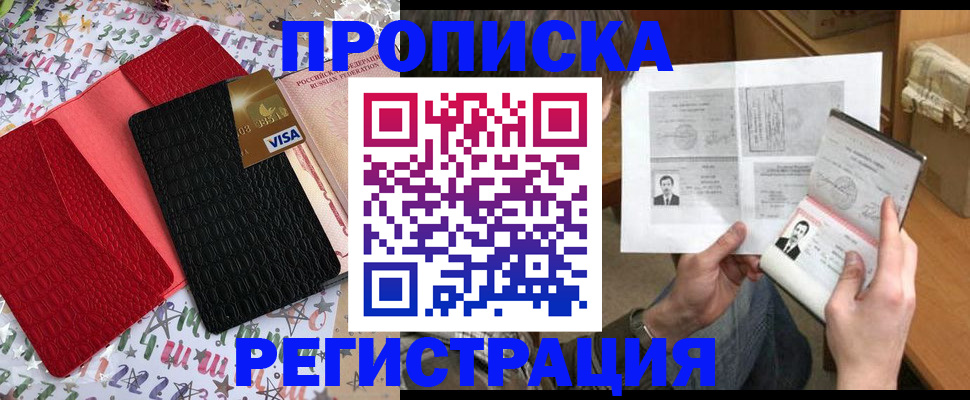 прописка поиск в Бабаево